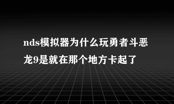 nds模拟器为什么玩勇者斗恶龙9是就在那个地方卡起了