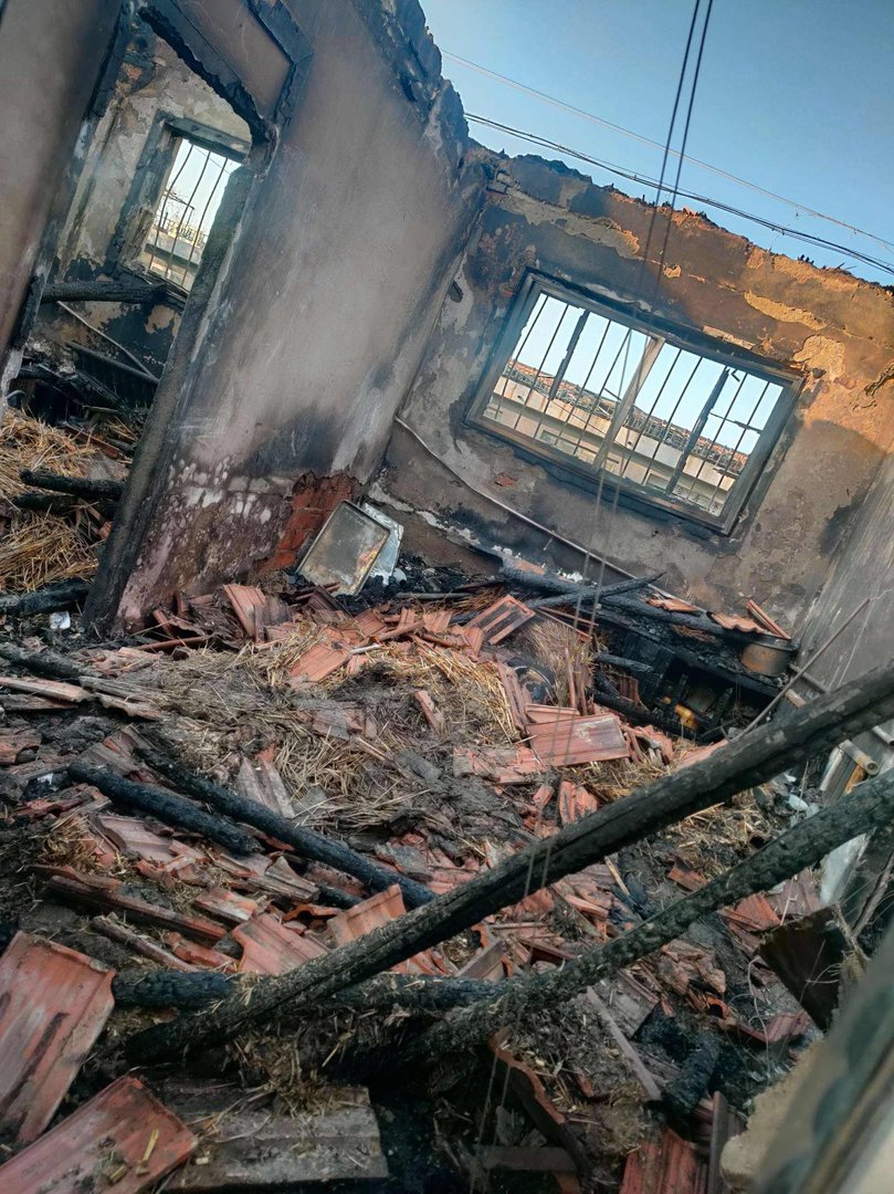 burn down是什么意思