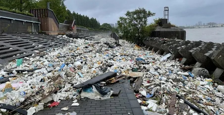 “烟花”过境后千米江堤变垃圾堆场，为何会出现这种情况？