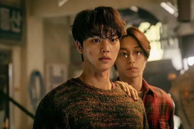 甜蜜家园讲的什么故事