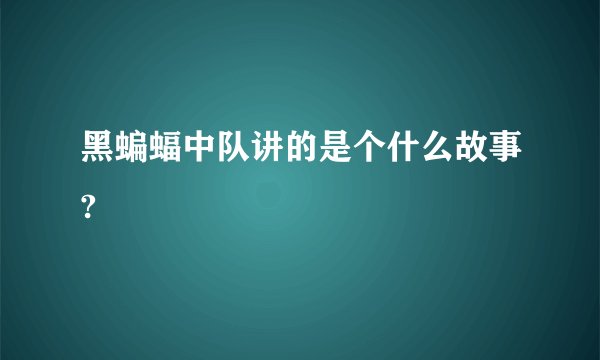 黑蝙蝠中队讲的是个什么故事?
