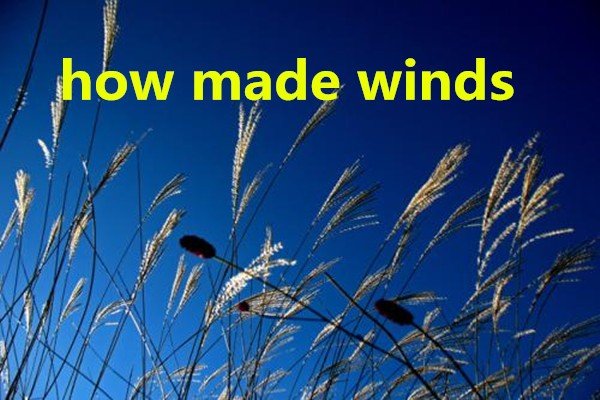 how made winds翻译