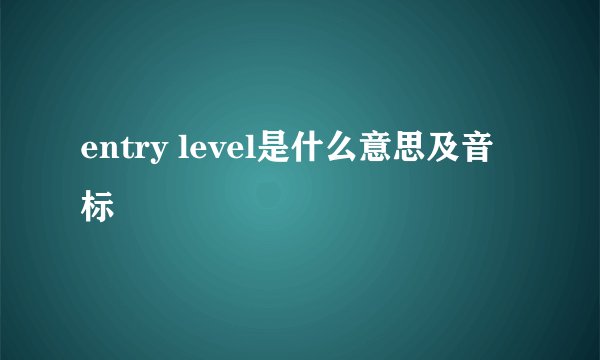 entry level是什么意思及音标