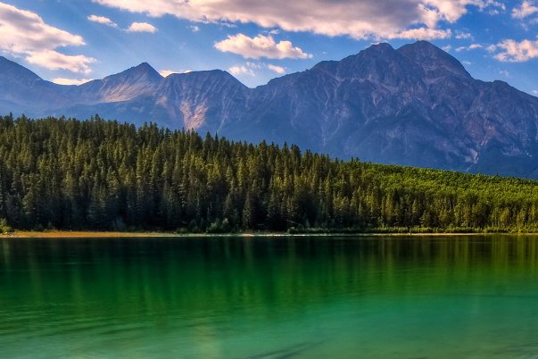 老丈人的东西又长又大怎么形容