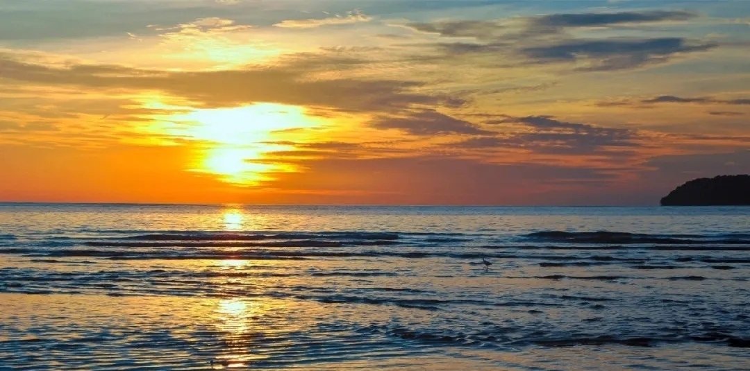 茅台提价会把年轻人推得更远吗？