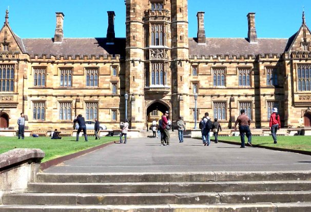 小学生不能看的东西