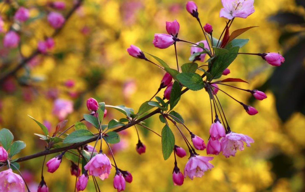 仿写句子春天在哪里？