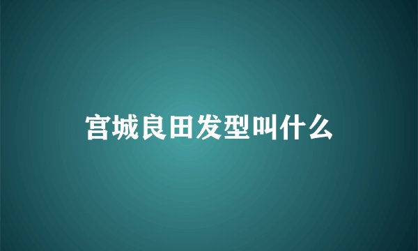 宫城良田发型叫什么