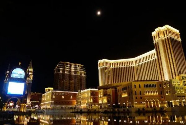 纸醉金迷打一个生肖