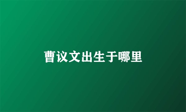 曹议文出生于哪里