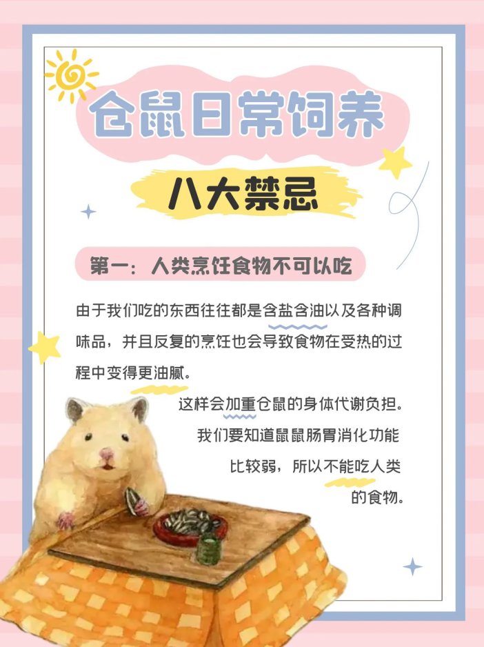 仓鼠饲养八大禁忌,新手必看