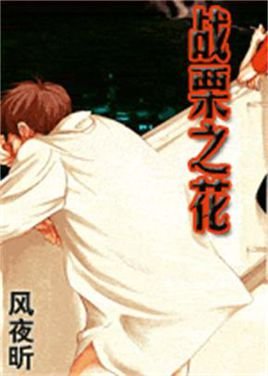 风夜昕的主要作品