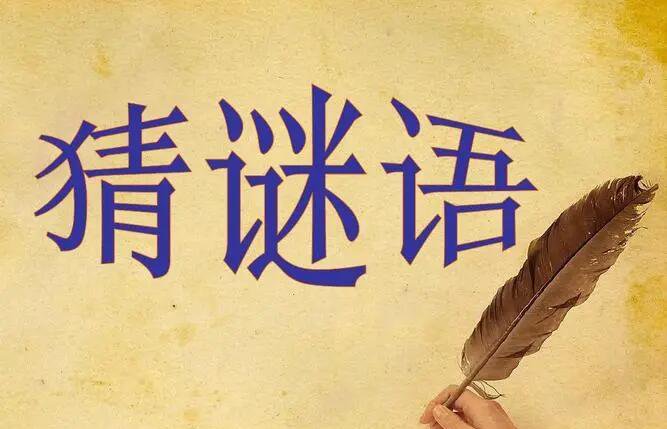 才薄智浅打一数字