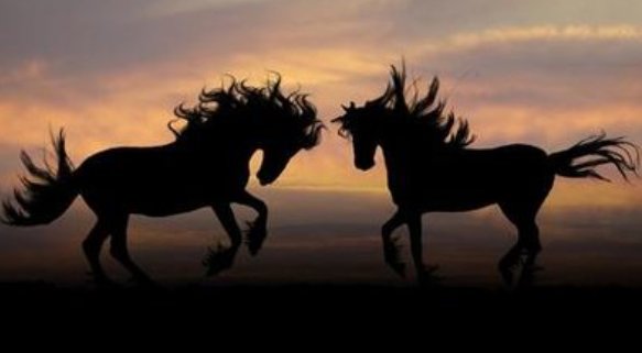 龙血玄黄打一个生肖