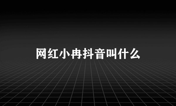 网红小冉抖音叫什么