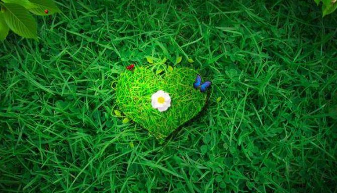 8月14号是什么情人节？