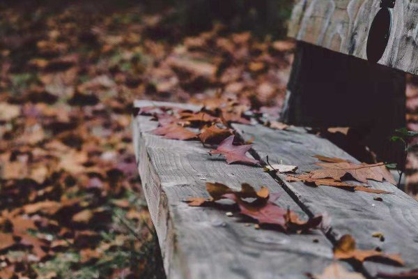 女人怀春男人伤秋,男女之间的差异是这样的吗?