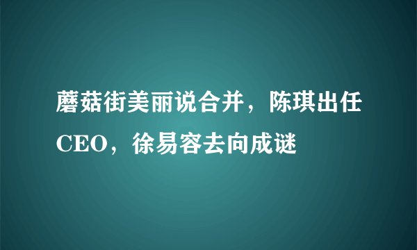 蘑菇街美丽说合并，陈琪出任CEO，徐易容去向成谜