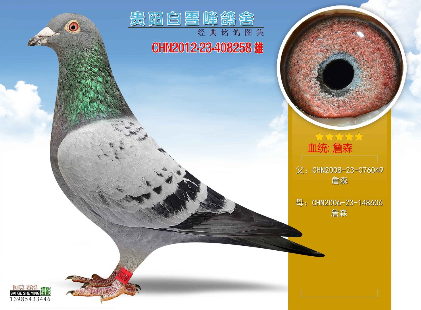 再世为官的书籍目录