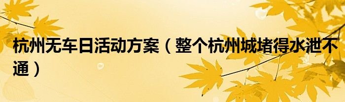 杭州无车日活动方案整个杭州城堵得水泄不通