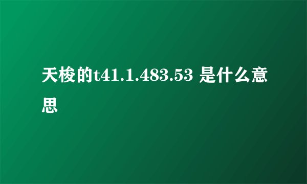 天梭的t41.1.483.53 是什么意思