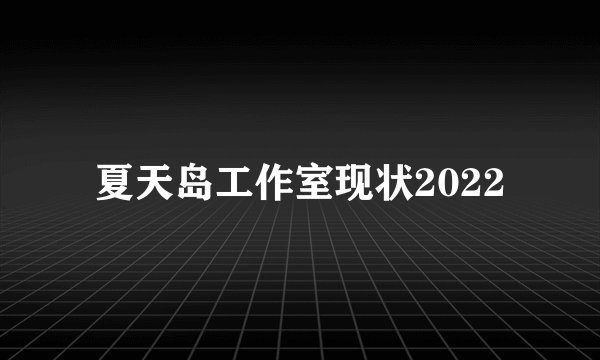 夏天岛工作室现状2022