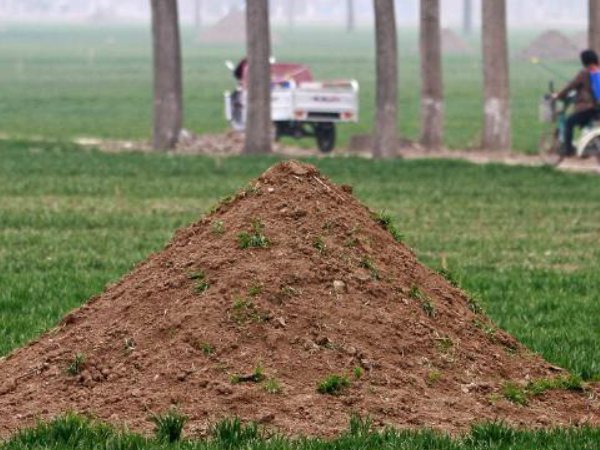 闰月年为什么不能上坟添土