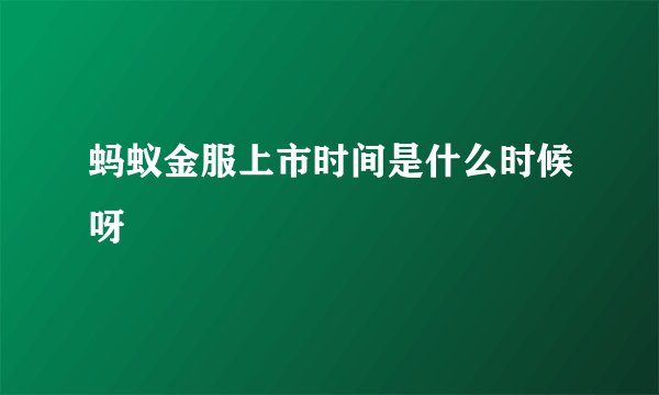 蚂蚁金服上市时间是什么时候呀