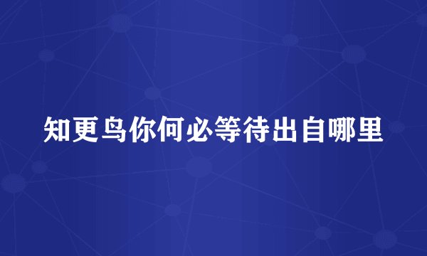 知更鸟你何必等待出自哪里