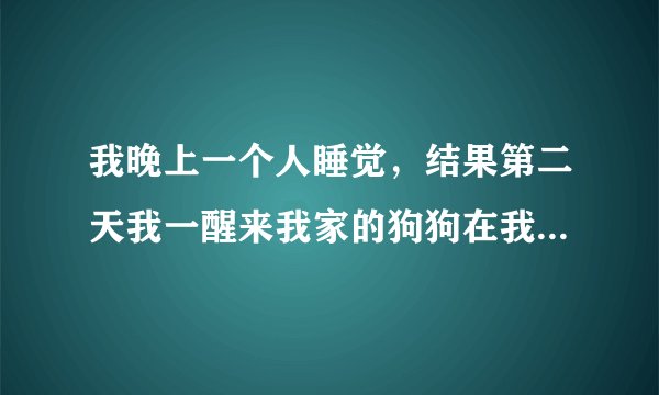 我晚上一个人睡觉，结果第二天我一醒来我家的狗狗在我的被窝，到底发生了什么事？