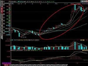 谭正标的人物经历