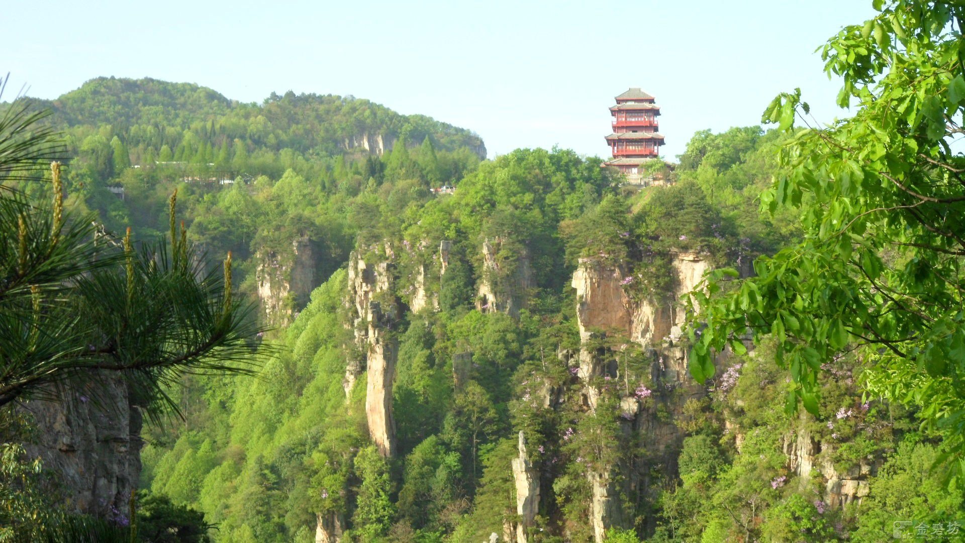 张家界驴友驿站的如何到达