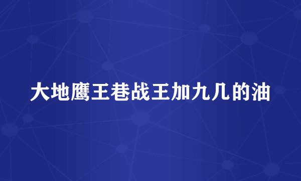 大地鹰王巷战王加九几的油