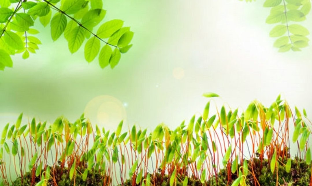 旅行的短句八个字