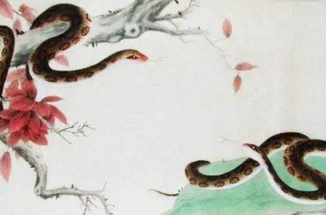 再当冯妇指什么生肖