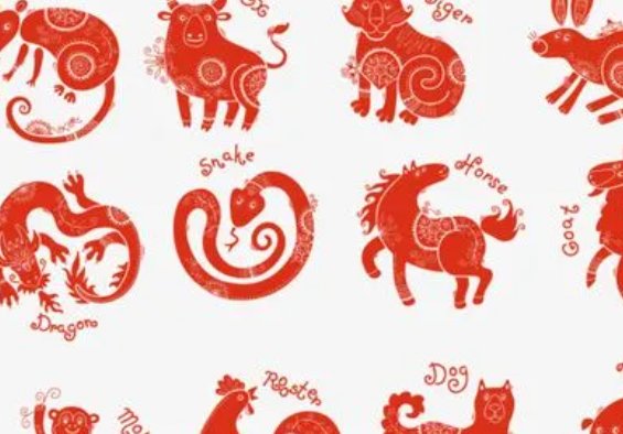 缩地补天猜一生肖