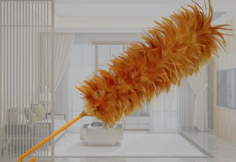 掸子的掸怎么组词