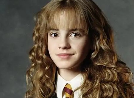 《哈利波特》赫敏喜欢的是谁?
