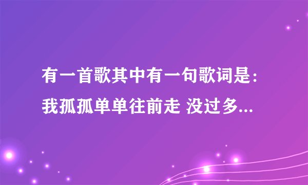 有一首歌其中有一句歌词是：我孤孤单单往前走 没过多久就低下头。 歌名是什么？