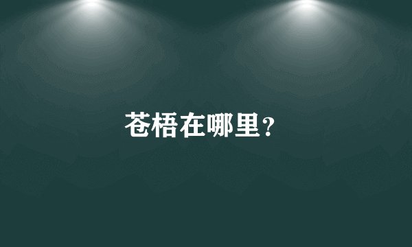 苍梧在哪里？