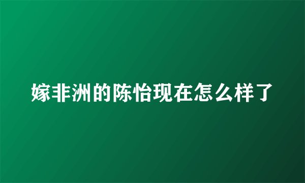 嫁非洲的陈怡现在怎么样了