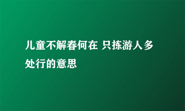 儿童不解春何在 只拣游人多处行的意思