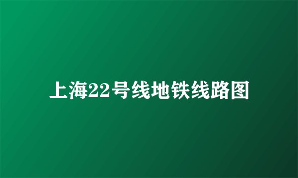 上海22号线地铁线路图