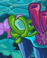 摘椰子的老猴子说的小银鱼在哪捉??卡布西游