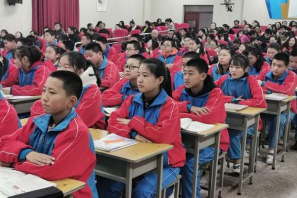 静观其变打一个准确生肖