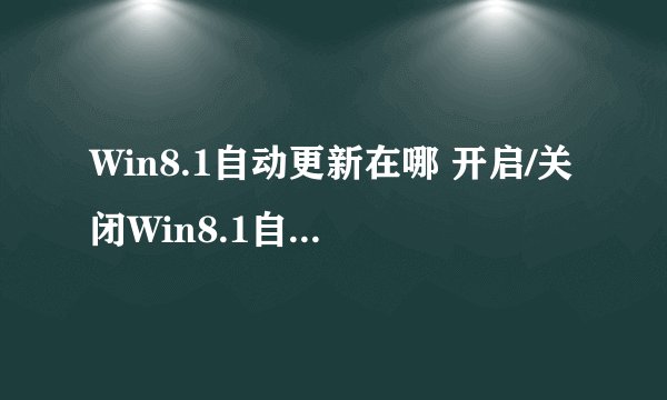 Win8.1自动更新在哪 开启/关闭Win8.1自动更新方法