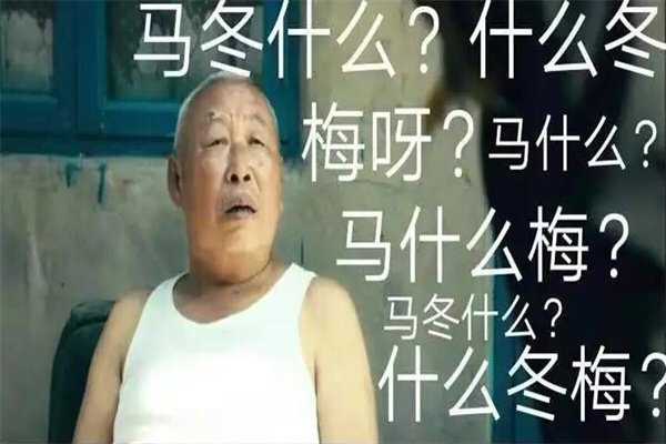 马什么梅什么梗