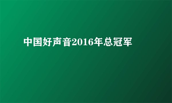 中国好声音2016年总冠军