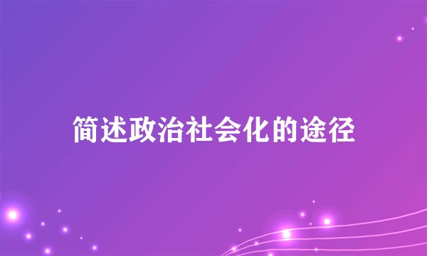 简述政治社会化的途径