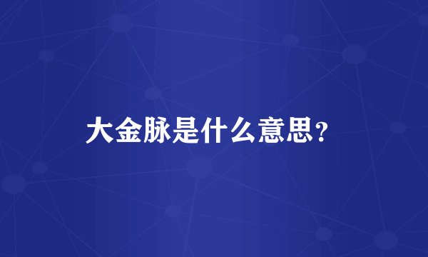 大金脉是什么意思？